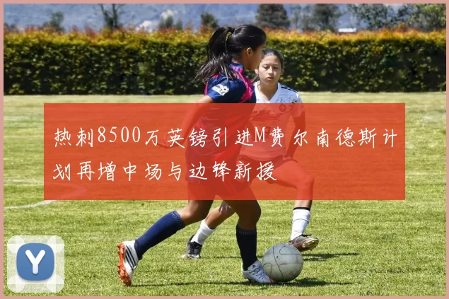 热刺8500万英镑引进M费尔南德斯计划再增中场与边锋新援