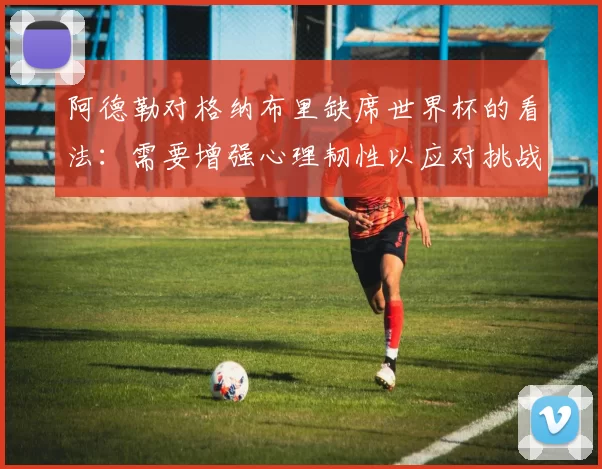 阿德勒对格纳布里缺席世界杯的看法：需要增强心理韧性以应对挑战