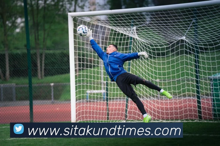 奖项图2